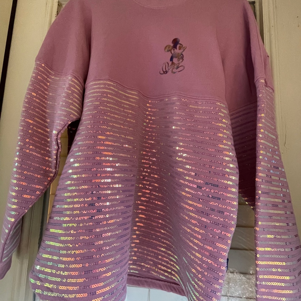 Disney Spirit Jersey